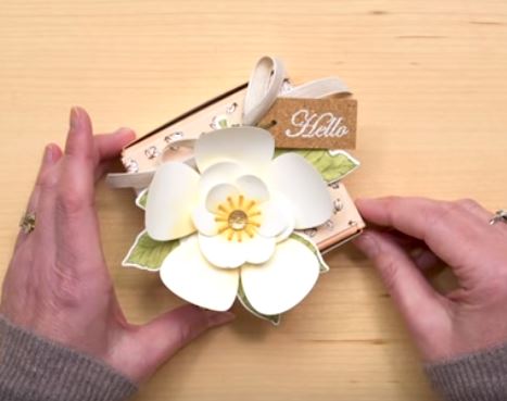 Magnolia Lane flower.JPG